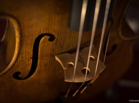 Violon contemporain de Philippe Mahu, Paris 2020 (Médaille d'or)